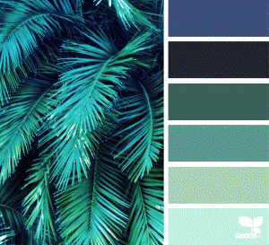 color3